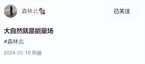 森林北最新爆料,最新爆料背后的惊人真相