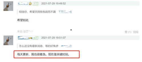 网络最新爆料,网络最新爆料，带你一探究竟！