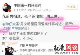 卓伟最新爆料周三见,揭秘娱乐圈惊天秘密，周三见！